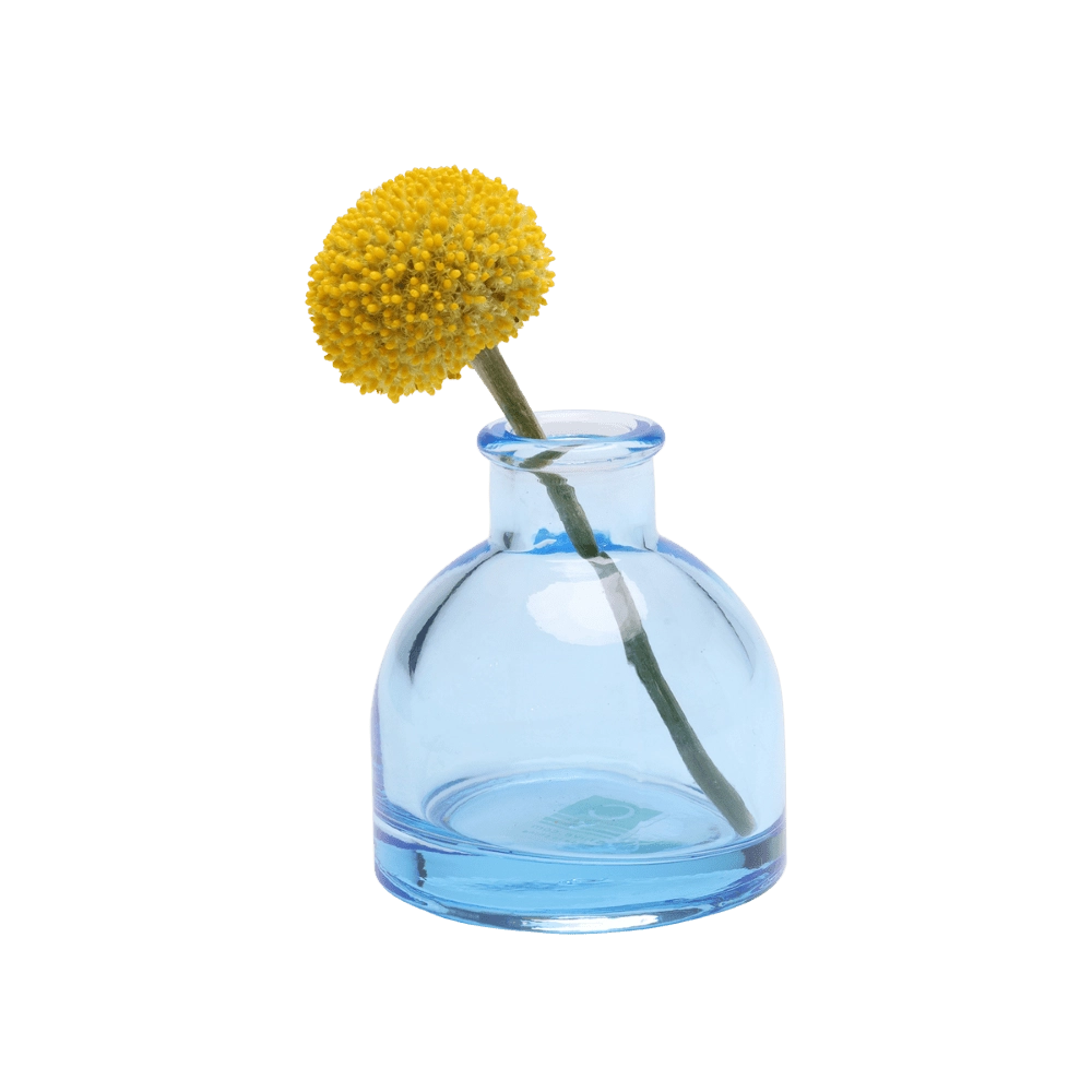 Chive Loft round glass bud vase in light blue styled with a single yellow billy ball bloom.