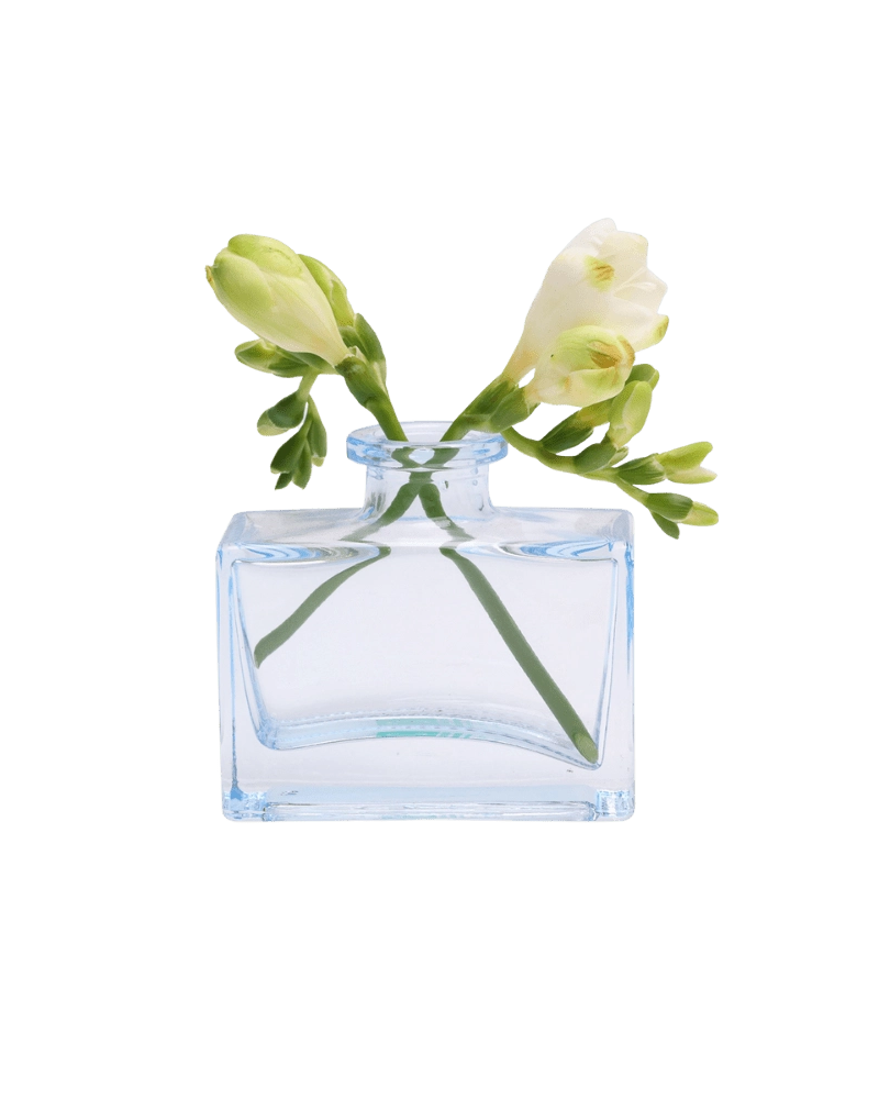 Chive Loft glass bud vase in Light Blue holds white freesia blooms with trailing green buds.