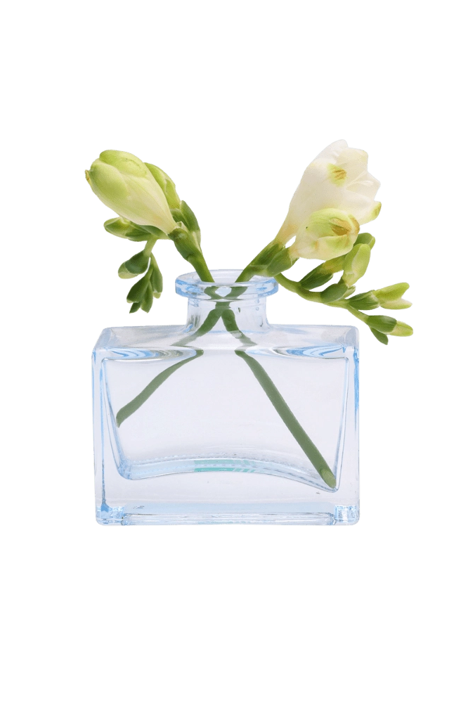 Chive Loft glass bud vase in Light Blue holds white freesia blooms with trailing green buds.
