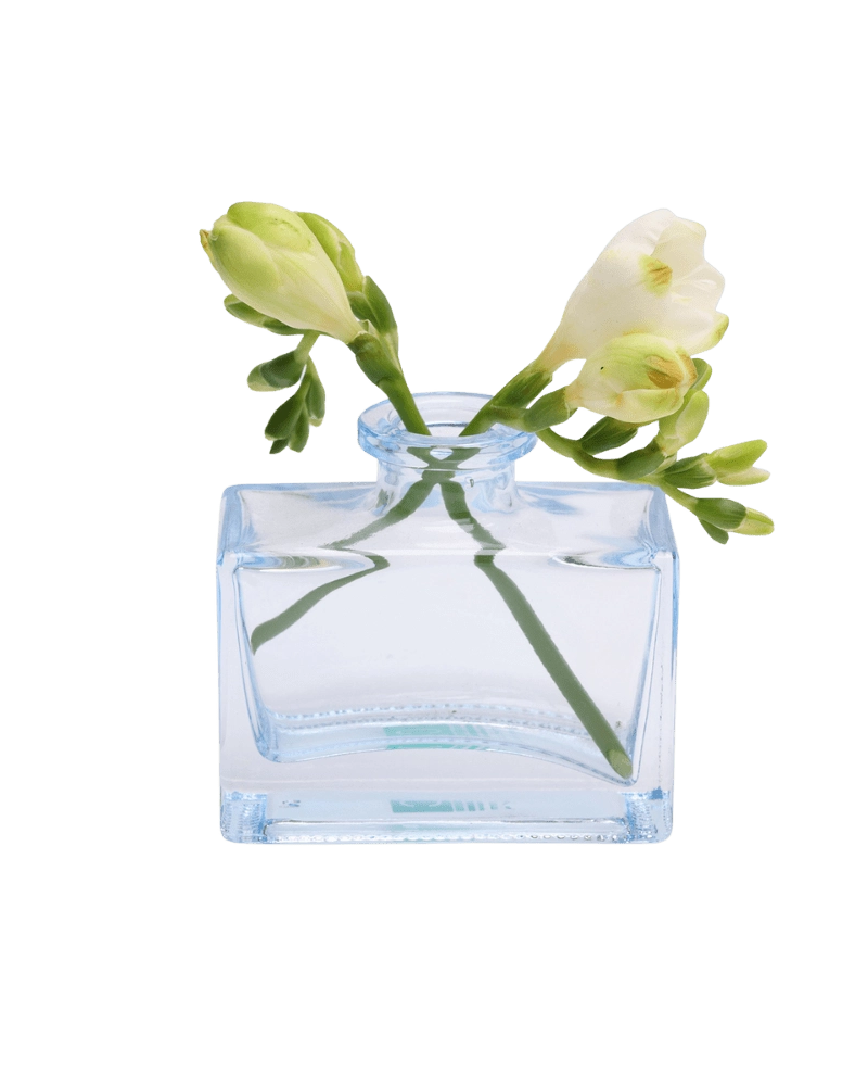Chive Loft glass bud vase in Light Blue cradles white freesia with buds trailing to each side.