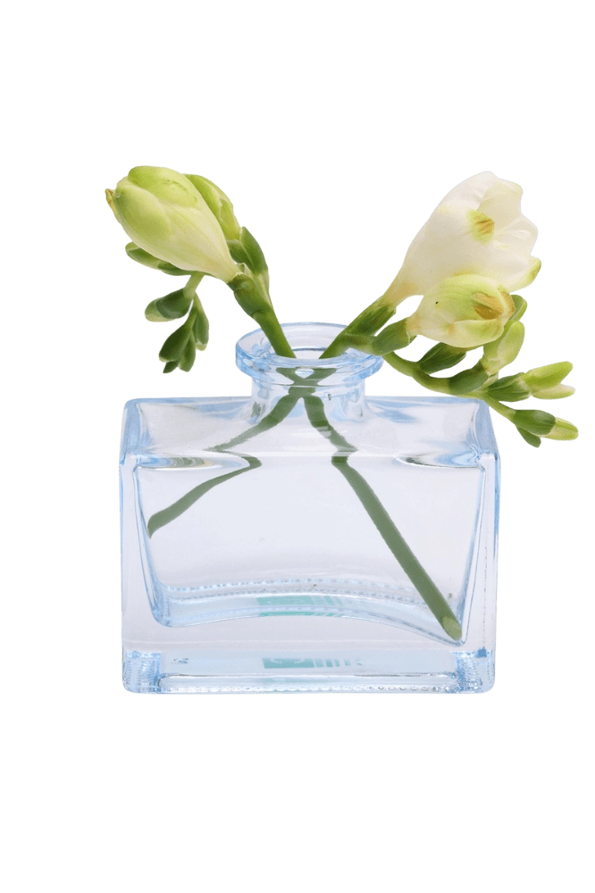 Chive Loft glass bud vase in Light Blue cradles white freesia with buds trailing to each side.