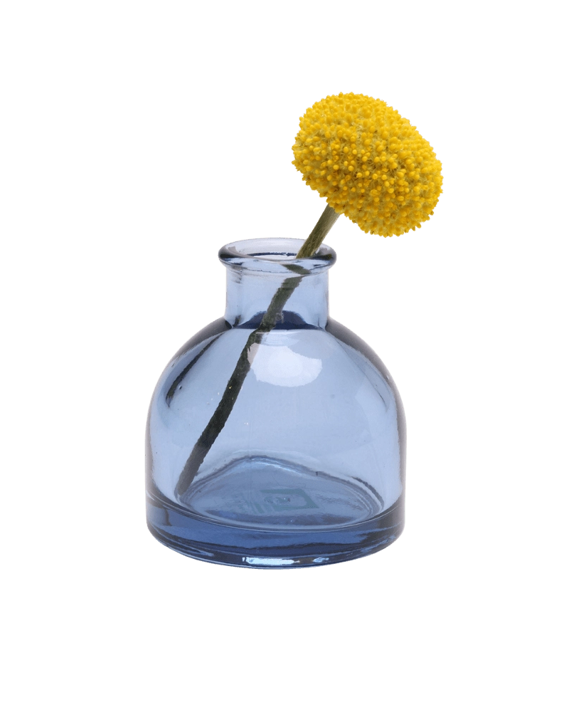 Chive Loft round glass bud vase in medium blue styled with a single yellow billy ball bloom.