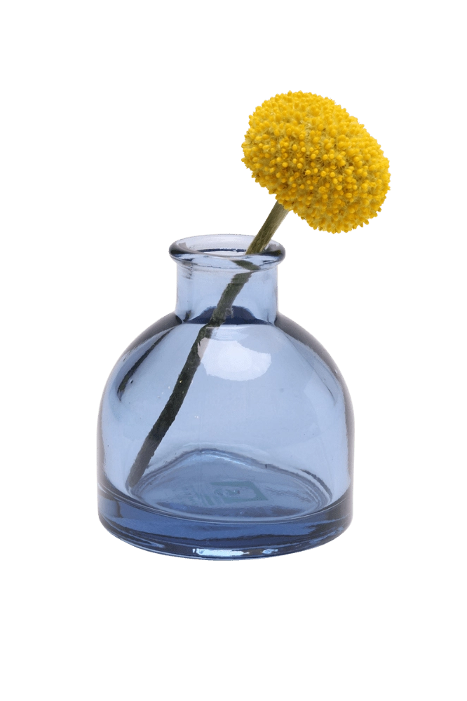 Chive Loft round glass bud vase in medium blue styled with a single yellow billy ball bloom.