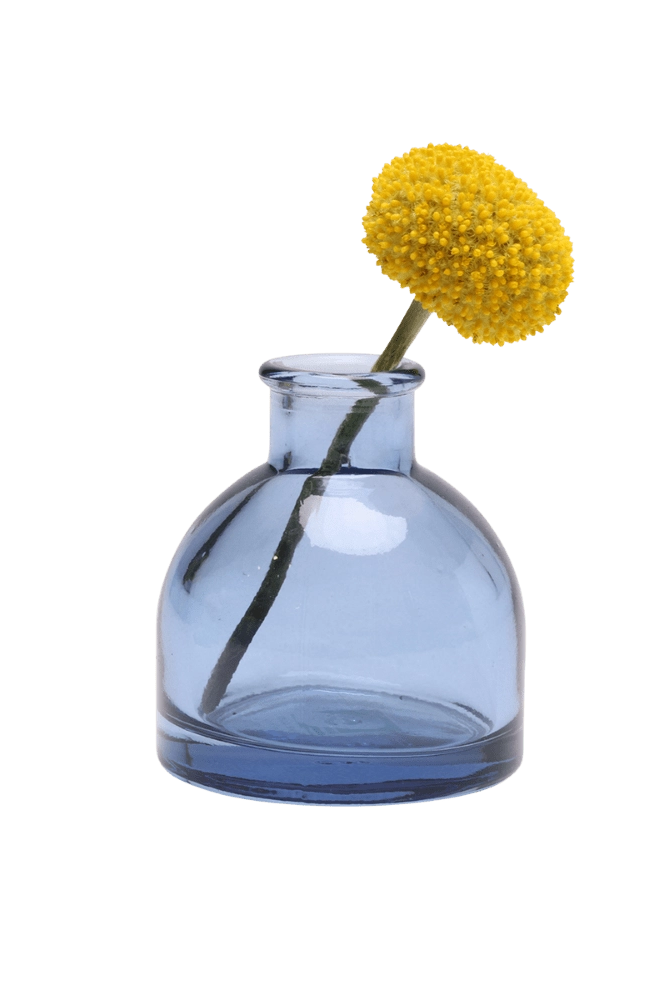 Chive Loft round glass bud vase in medium blue, shown from a side angle with a yellow billy ball bloom.