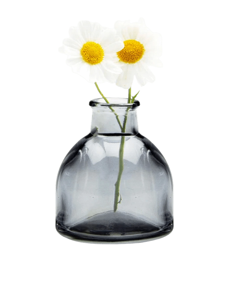 Chive Loft round glass bud vase in smoke grey styled with two small white daisy blooms.