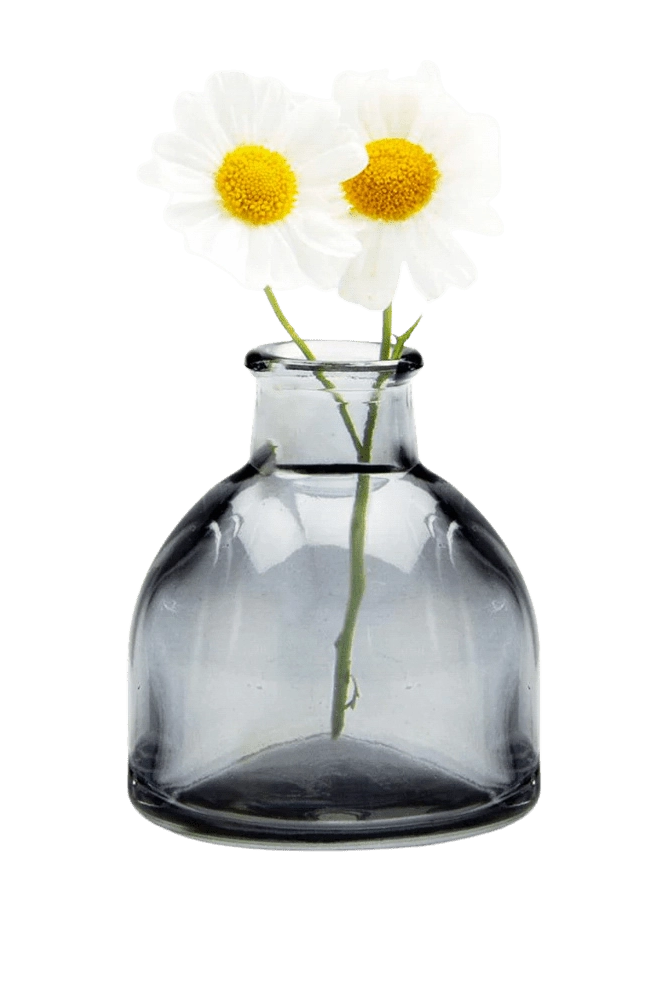 Chive Loft round glass bud vase in smoke grey styled with two small white daisy blooms.