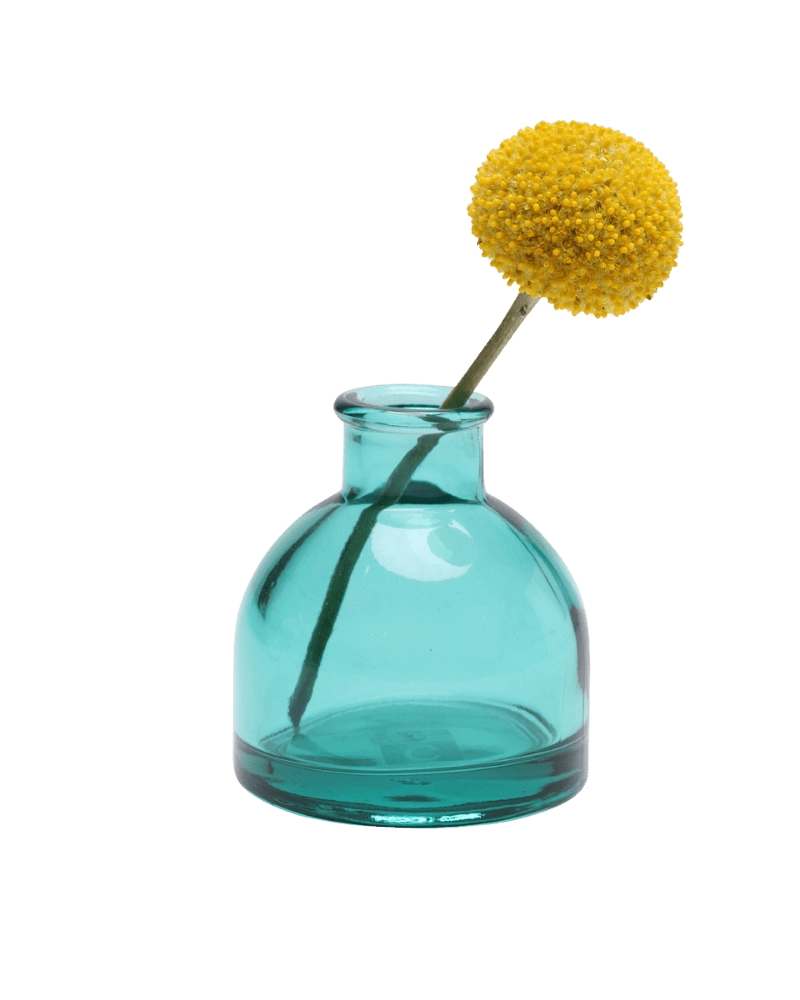 Chive Loft round glass bud vase in teal styled with a single yellow billy ball bloom.