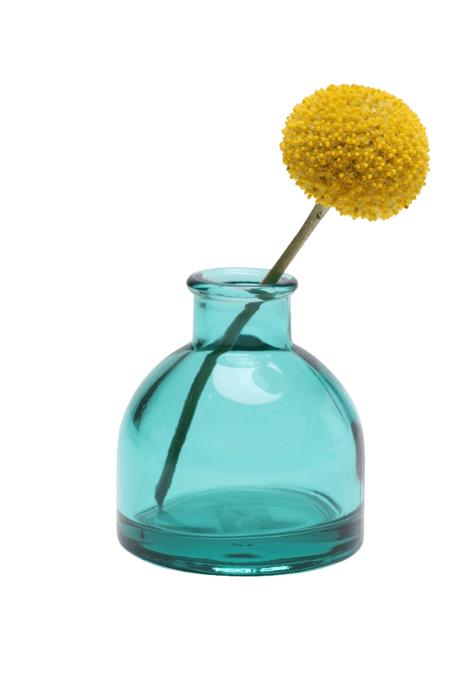 Chive Loft round glass bud vase in teal styled with a single yellow billy ball bloom.