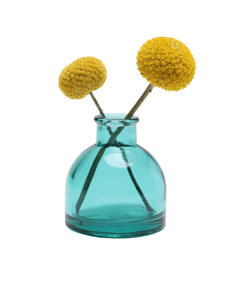 Chive Loft round glass bud vase in teal holding two yellow billy ball blooms, crossed at the stems.