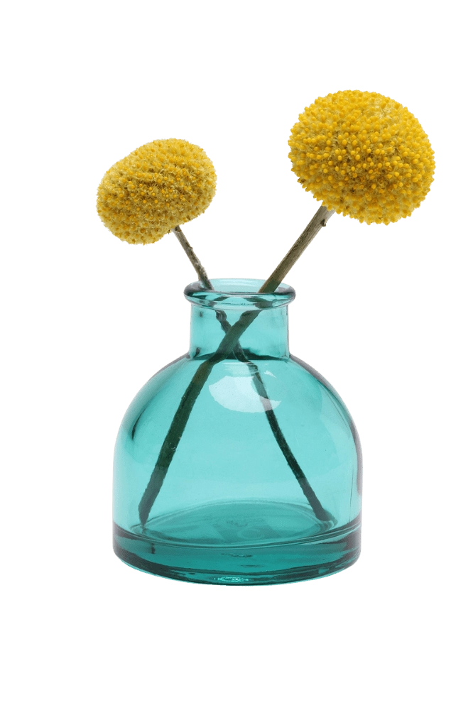 Chive Loft round glass bud vase in teal holding two yellow billy ball blooms, crossed at the stems.