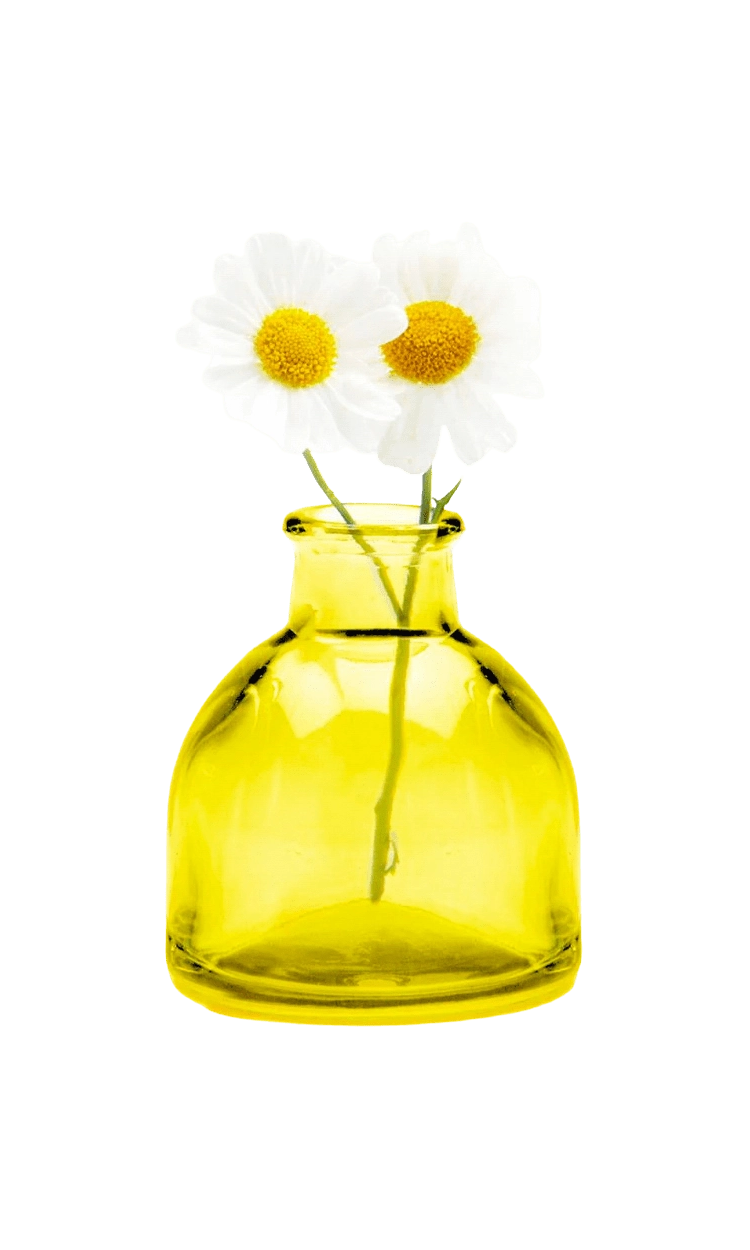 Chive Loft round glass bud vase in yellow styled with two small white daisy blooms.
