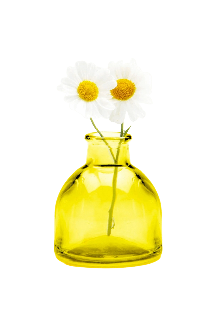 Chive Loft round glass bud vase in yellow styled with two small white daisy blooms.
