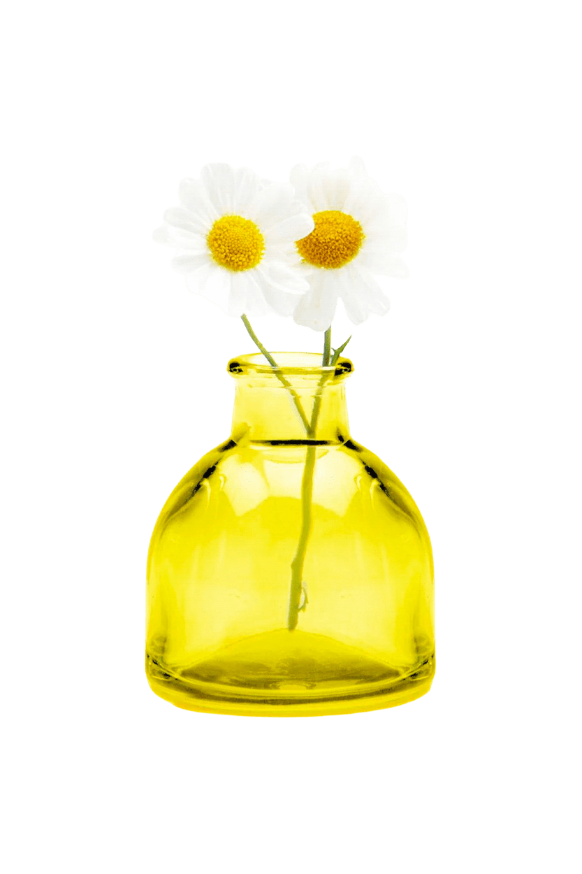 Chive Loft glass bud vase in Yellow Round features a rounded jar body with a short flared neck.