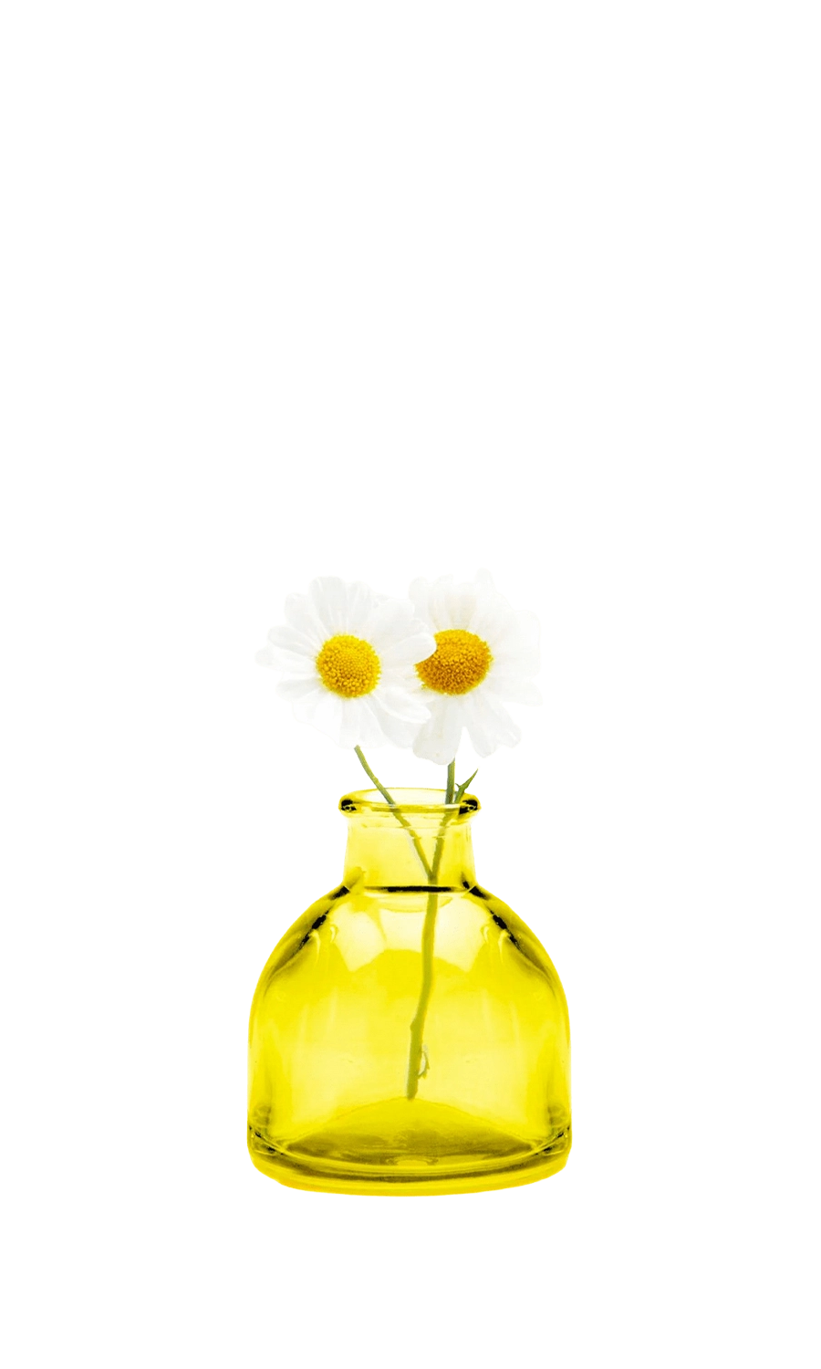 Loft Glass Vintage Bud Vases For Weddings