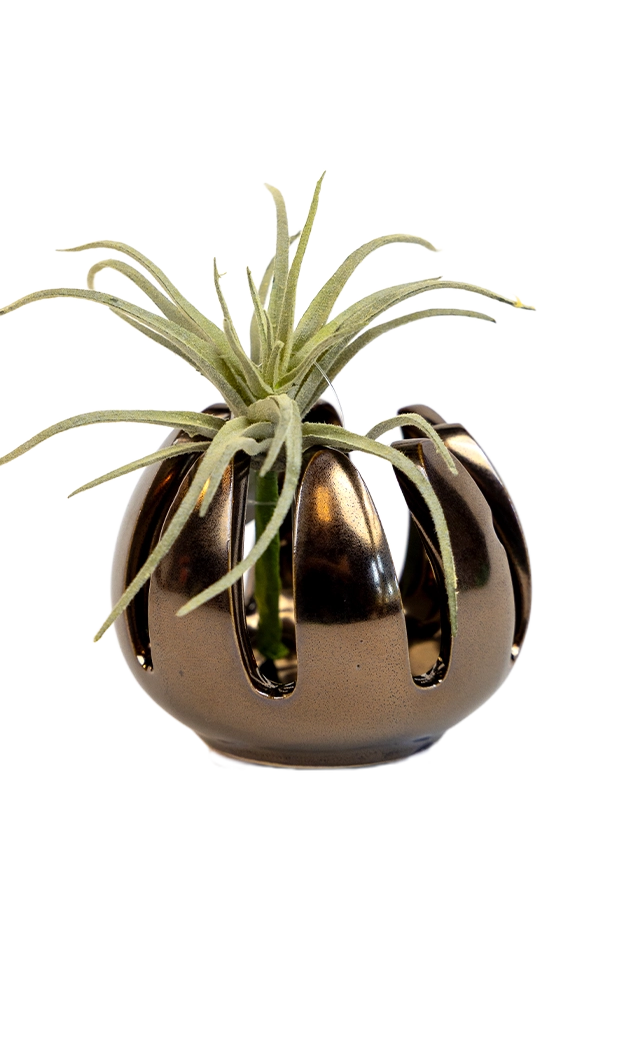 Grassy Dark Chrome - Gideon - handmade by ChIve Studio Toronto