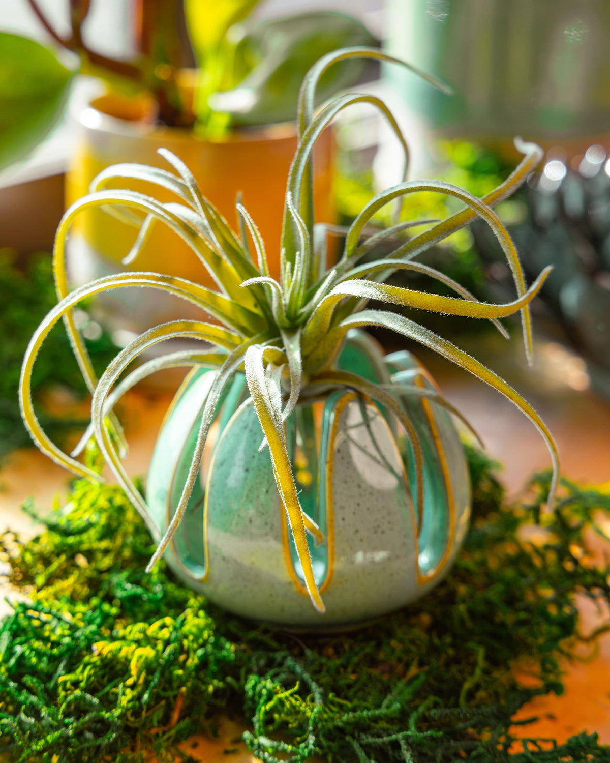 Grassy Green - Gideon - handmade by ChIve Studio Toronto