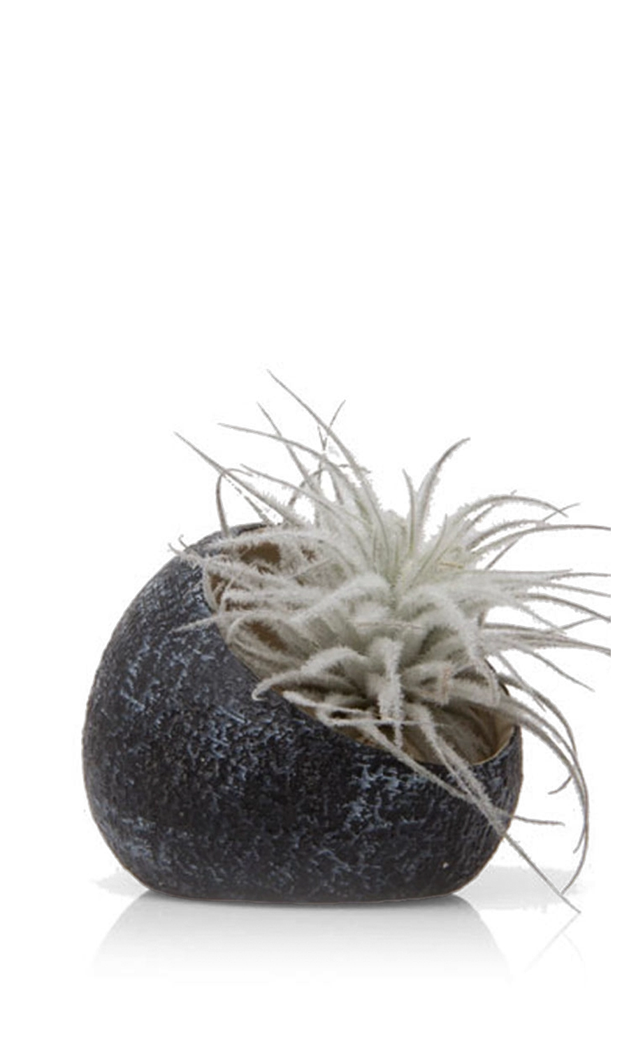 Black Terrarium Ceramic Air Plant Holder - Koski - handmade by Chive Studio Toronto