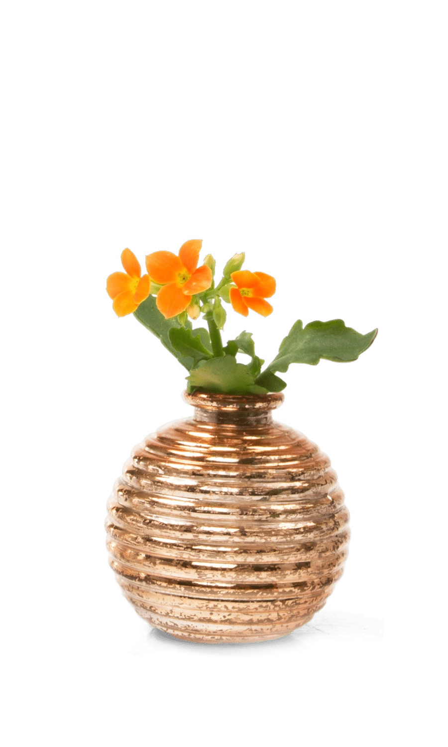 Gold Glass Bud Vase - Smasak - handmade by Chive Studio Toronto