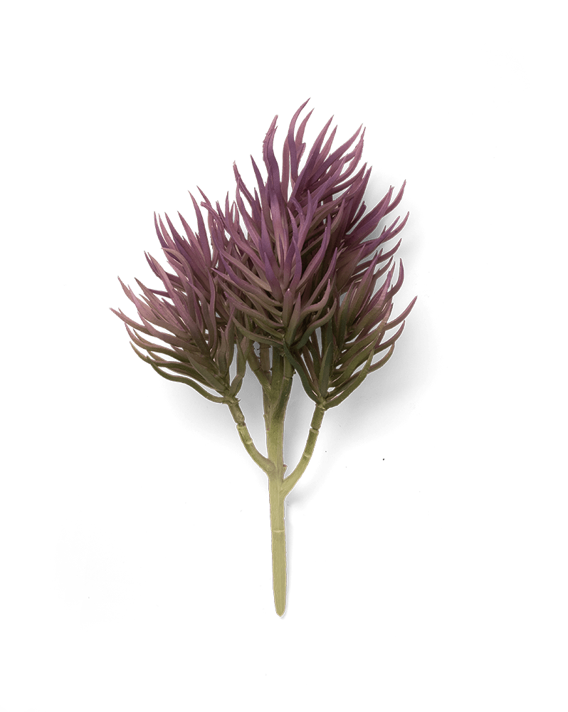Premium Artificial Succulents - Lifelike Botanical Decor - Chive Ceramics Studio - Chive US Wholesale