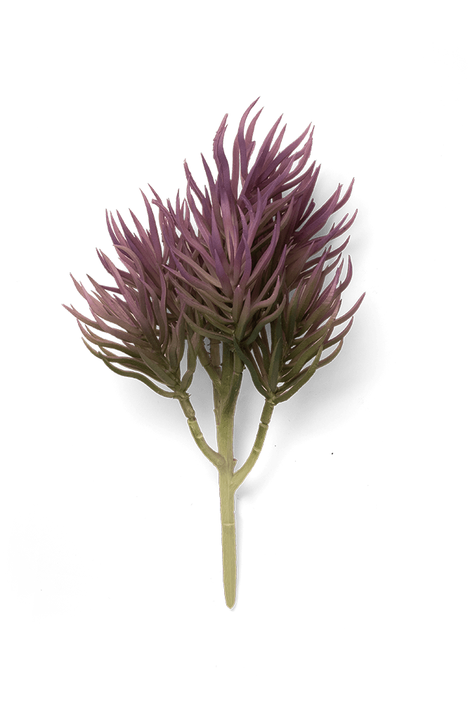 Premium Artificial Succulents - Lifelike Botanical Decor - Chive Ceramics Studio - Chive US Wholesale