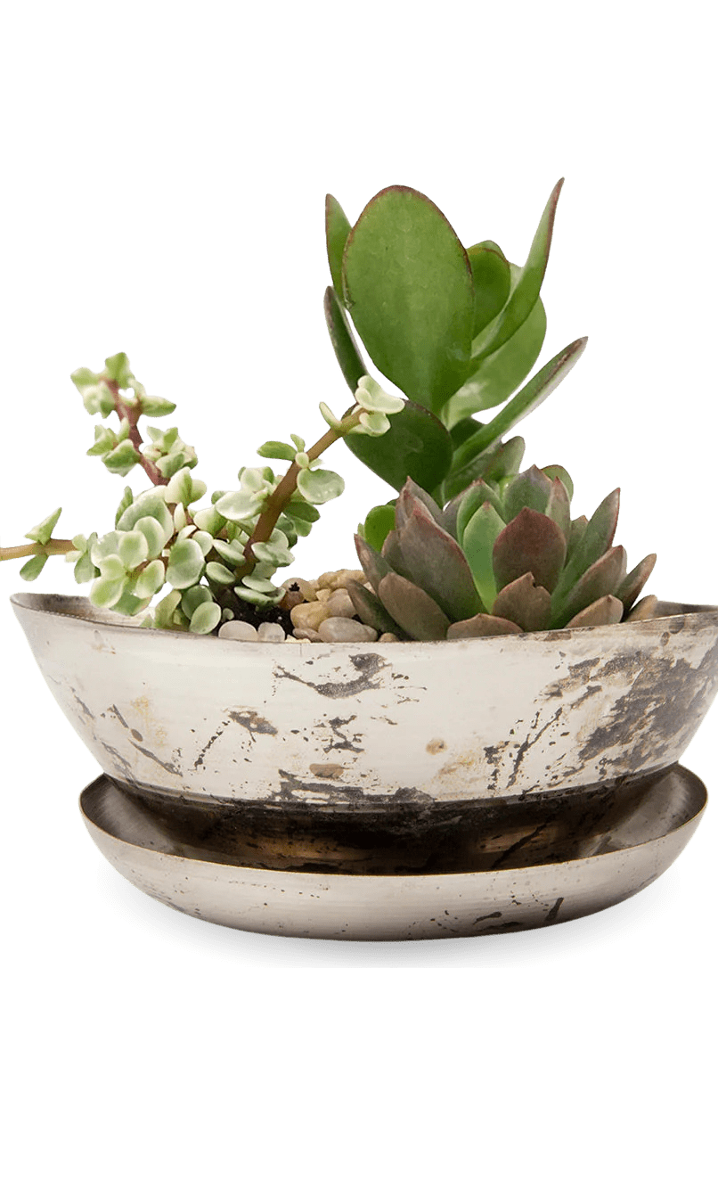 Topper Metal Succulent Dish - Chive Ceramics Studio - Pots - Chive US