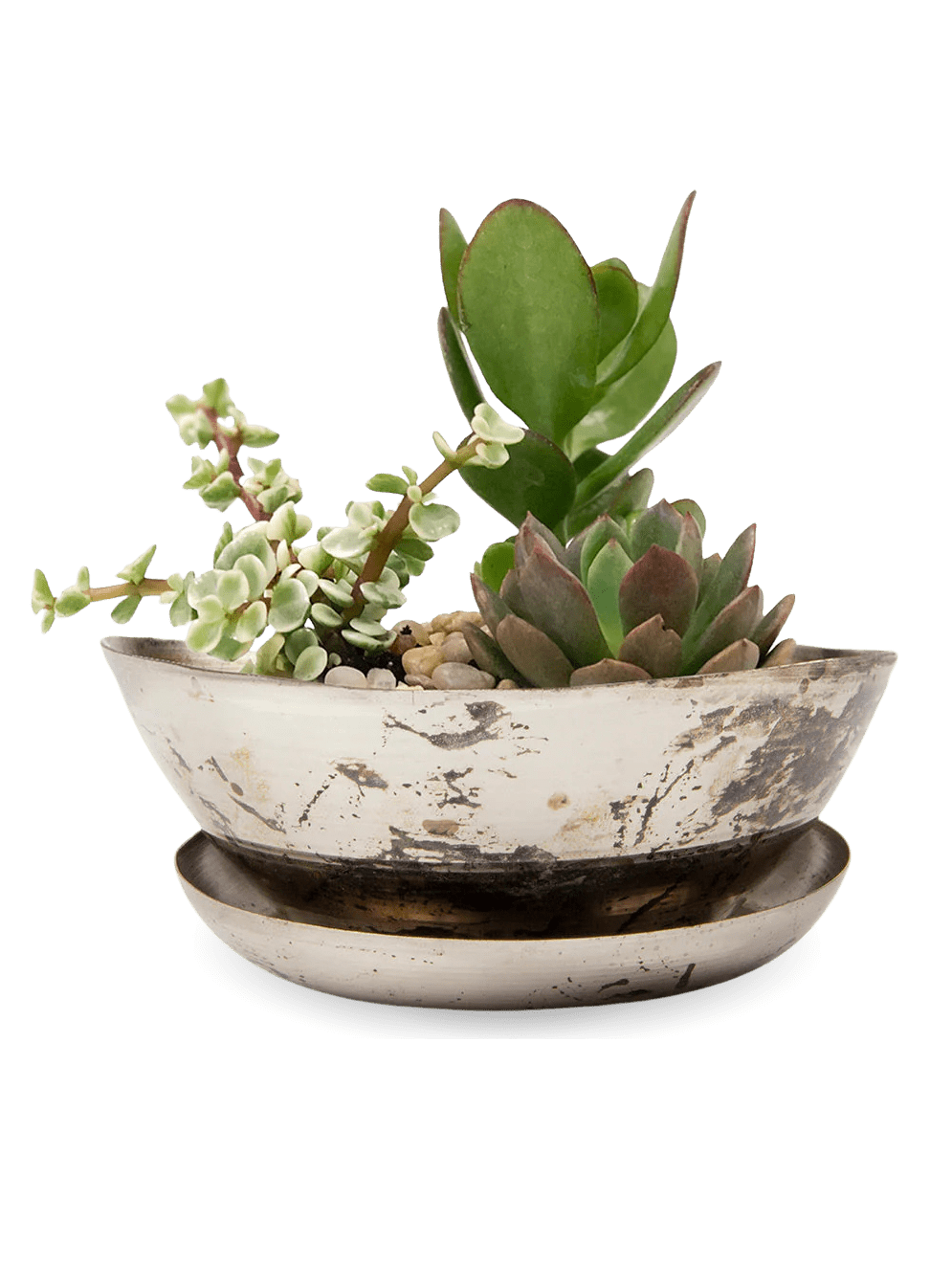 Topper Metal Succulent Dish - Chive Ceramics Studio - Pots - Chive US