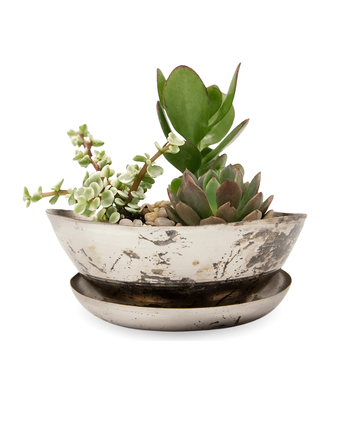 Topper Metal Succulent Dish - Chive Ceramics Studio - Pots - Chive US