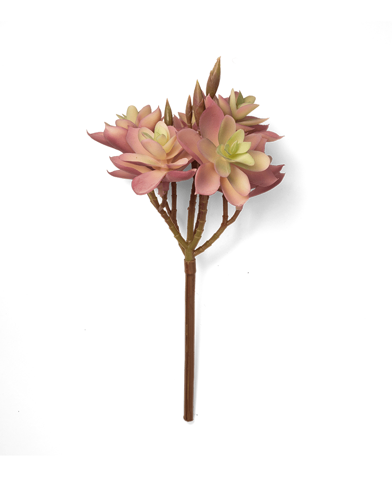 Premium Artificial Succulents - Lifelike Botanical Decor - Chive Ceramics Studio - Chive US Wholesale