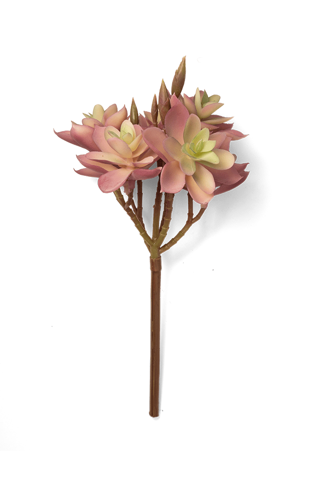 Premium Artificial Succulents - Lifelike Botanical Decor - Chive Ceramics Studio - Chive US Wholesale