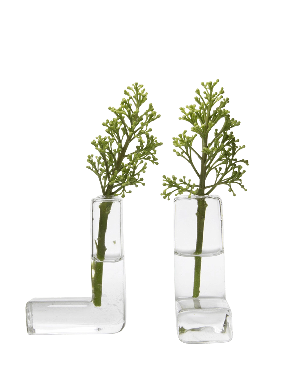 Clear Glass Modern Flower Vase - The L - handmade by Chive Studio Toronto