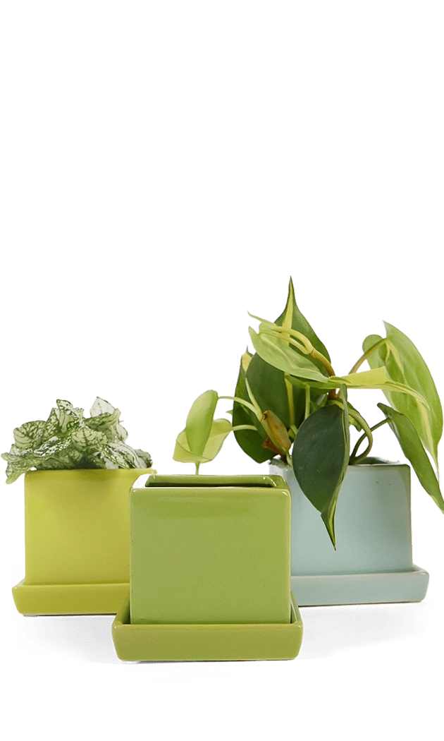 Multicolour Ceramic Pot with Drainage Hole - Cube& Saucer - handmade by Chive Studio Toronto