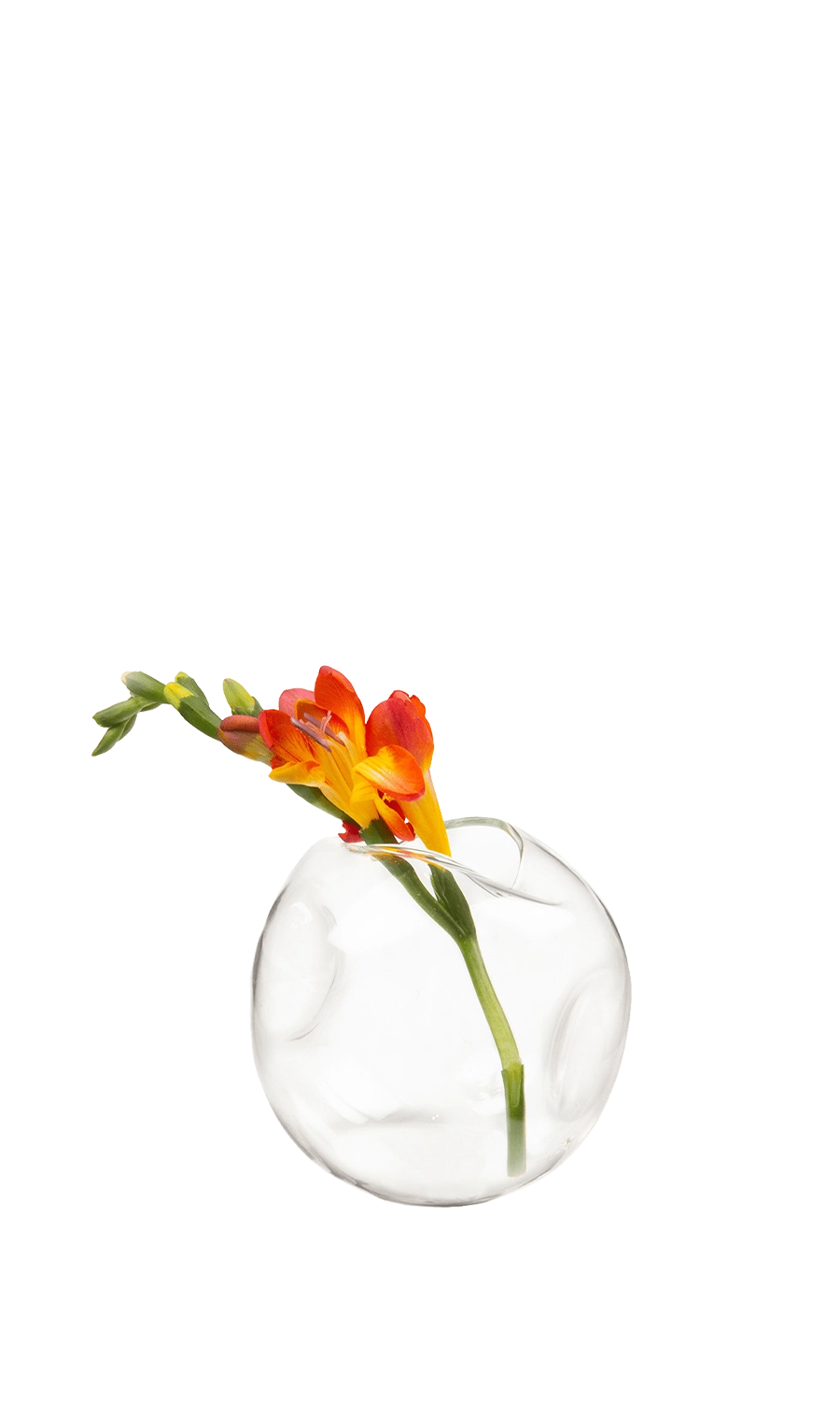 Clear Glass Modern Flower Vase - Dent - handmade by Chive Studio Toronto