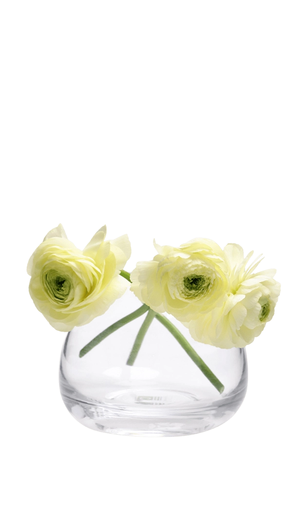 Three pale yellow ranunculus flowers in a clear round glass vase. | Chive