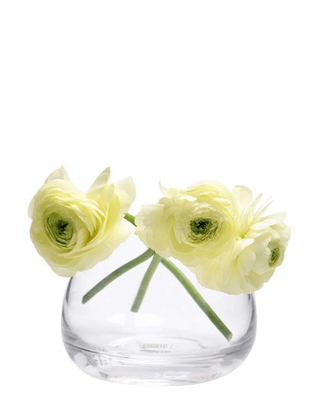 Three pale yellow ranunculus flowers in a clear round glass vase. | Chive