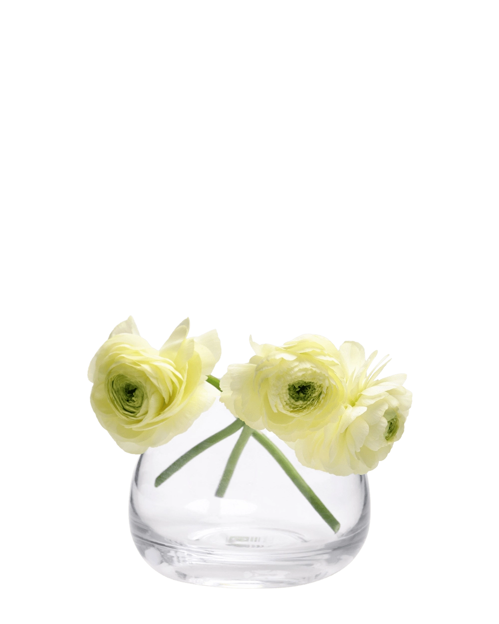 Clear glass vase with three light yellow flowers | Chive
