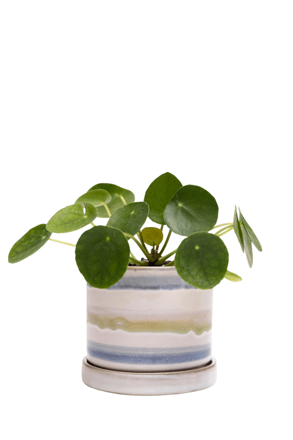 Blue Green Layers Small Ceramic Pot with Drainage Hole and Saucer - Minute - handmade by Chive Studio Toronto