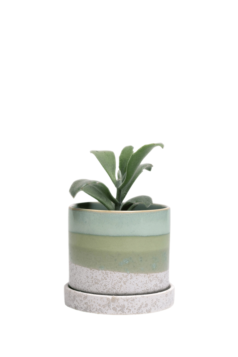 Green Cement Small Ceramic Pot with drainage Hole and Saucer - Minute - handmade by Chive Studio Toronto