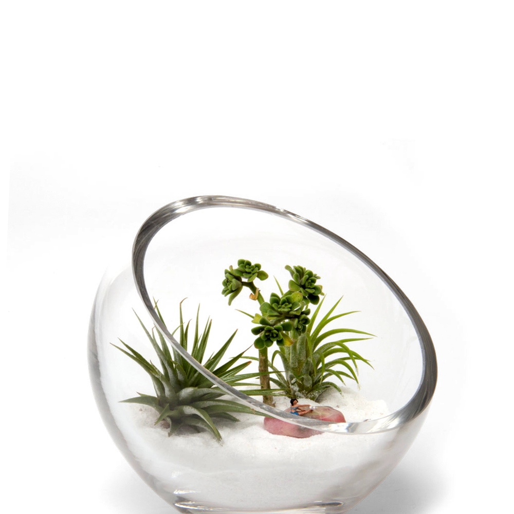 Clear Glass Succulent Garden - Terrarium Bowl - handmade by Chive Studio Toronto