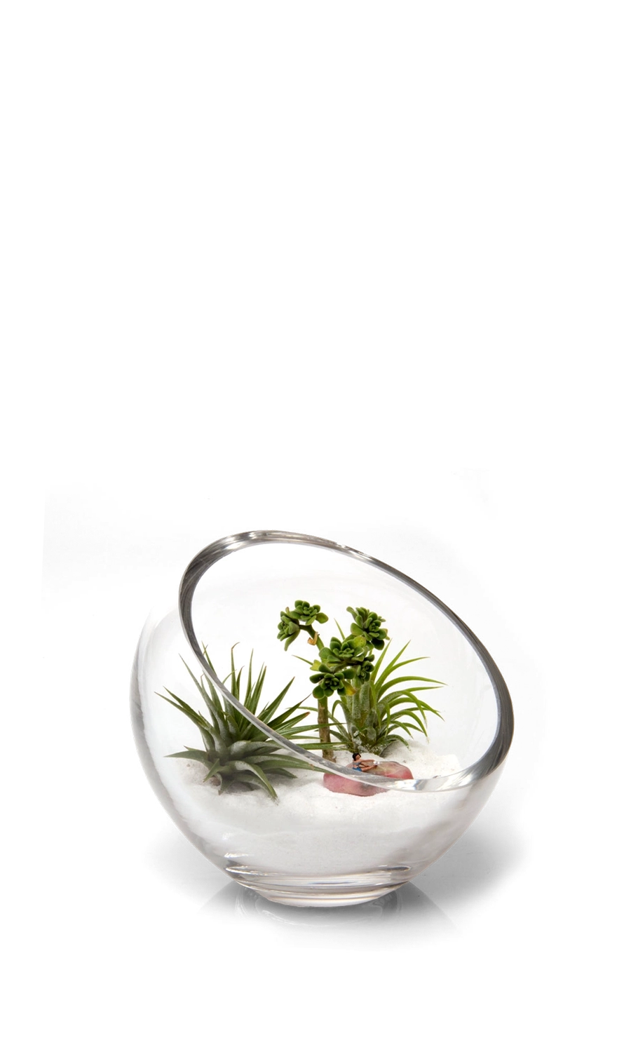 Clear Glass Succulent Garden - Terrarium Bowl - handmade by Chive Studio Toronto