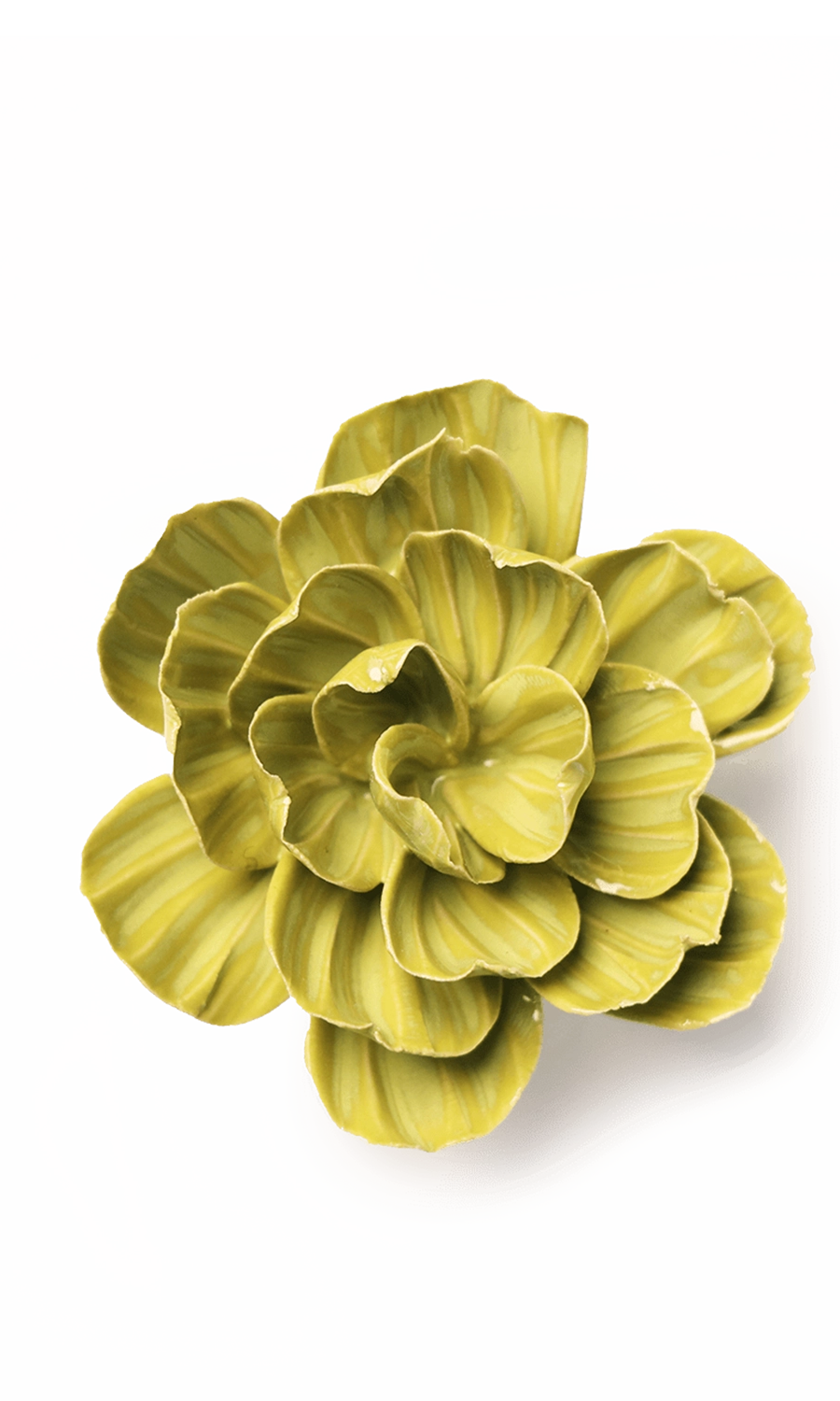 February Primrose - Birth Flower Collection - handmade by Chive Studio Toronto