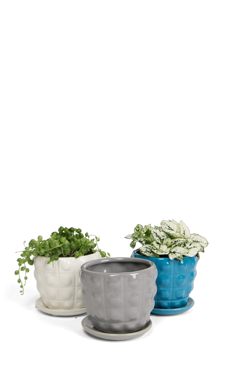 Multicolour Ceramic Pot with Drainage Hole and Saucer - Convex - handmade by Chive Studio Toronto