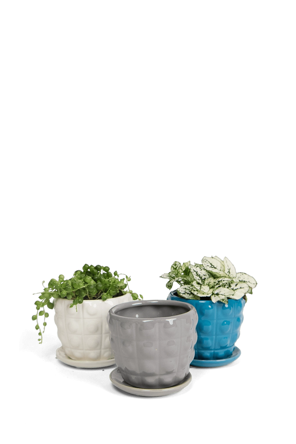 Multicolour Ceramic Pot with Drainage Hole and Saucer - Convex - handmade by Chive Studio Toronto