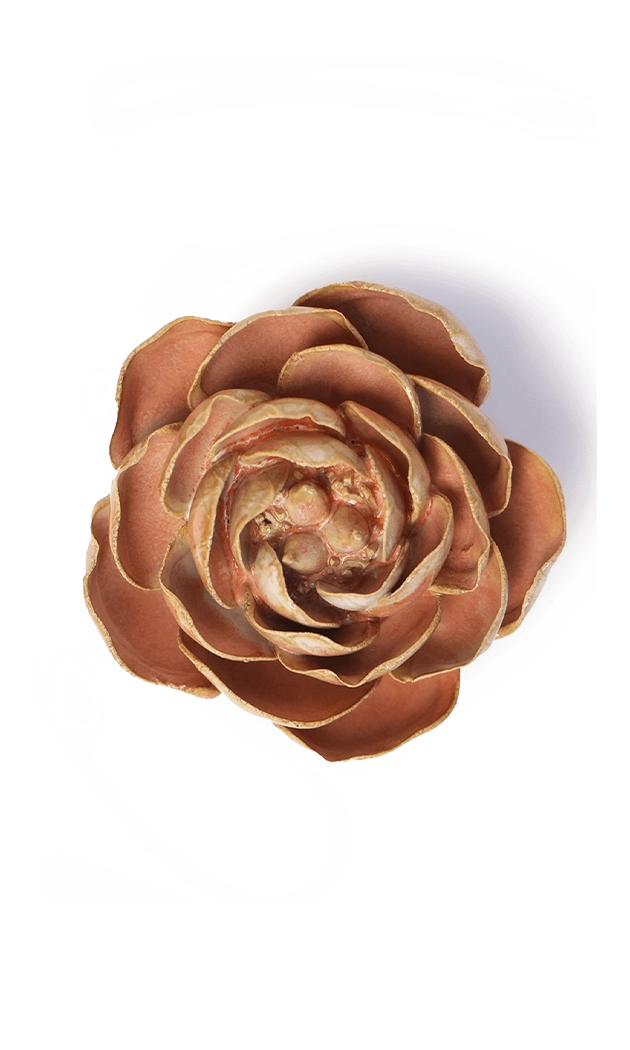 Peach Pink - Big Ben Peony - handmade by Chive Studio Toronto