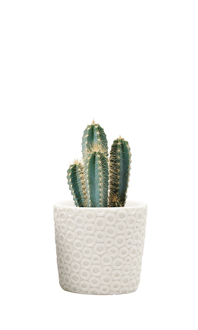Resin Planter Pot - Stagma - handmade by Chive Stdio Toronto