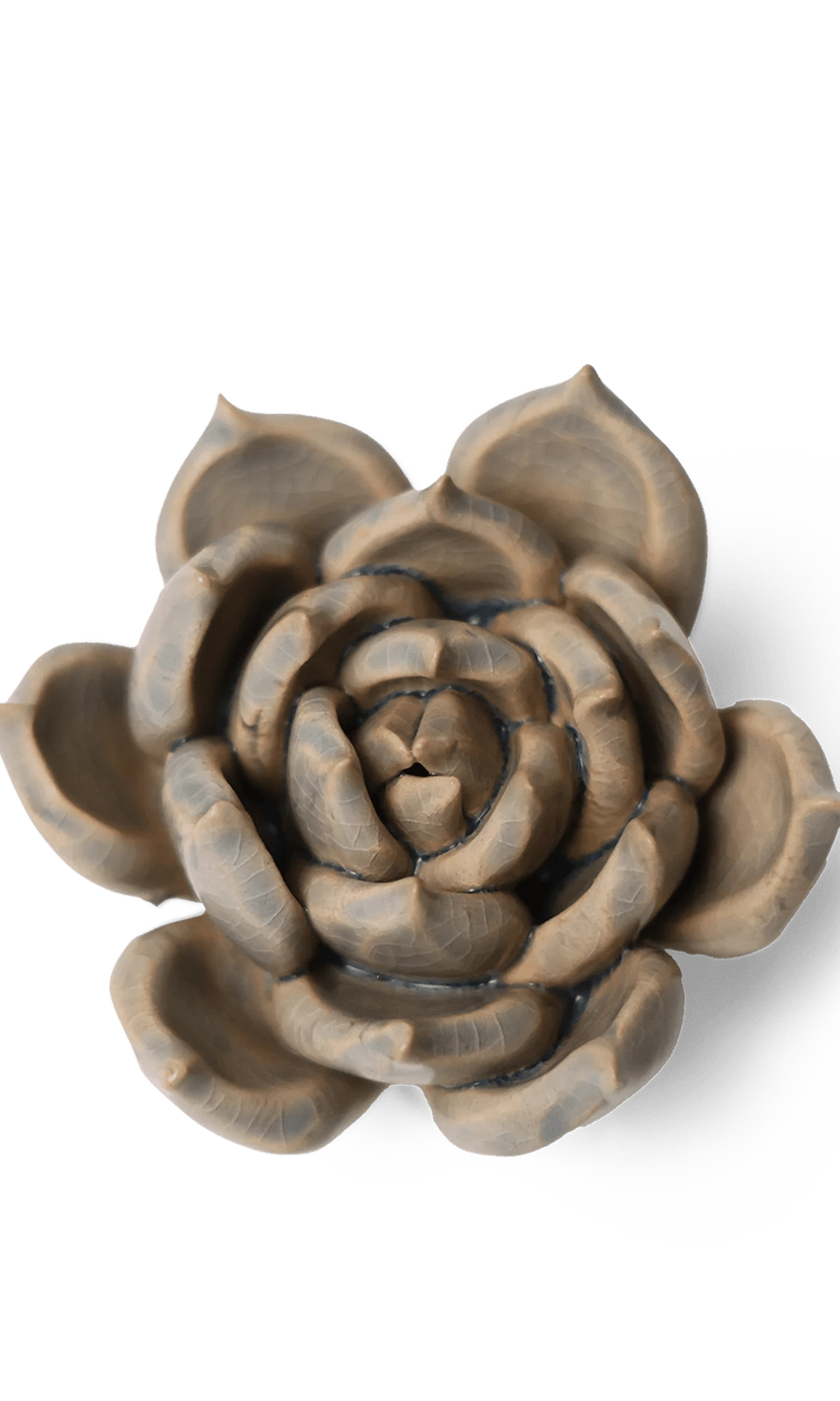 Blue Succulent - Classic Collection - handmade by Chive Studio Toronto