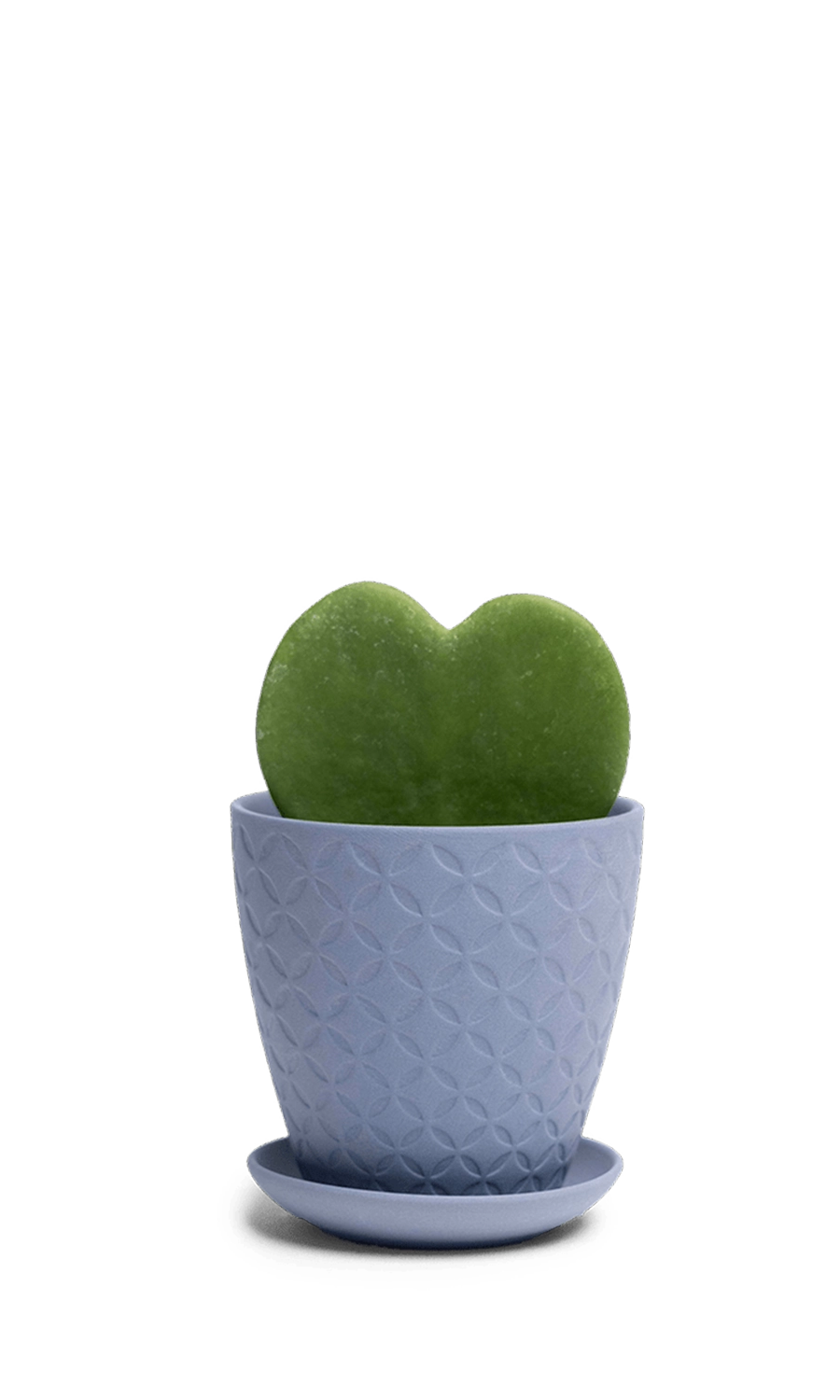 Blue Grey Porcelain Pot with Drainage Hole and Saucer - Virago - handmade by Chive Studio Toronto