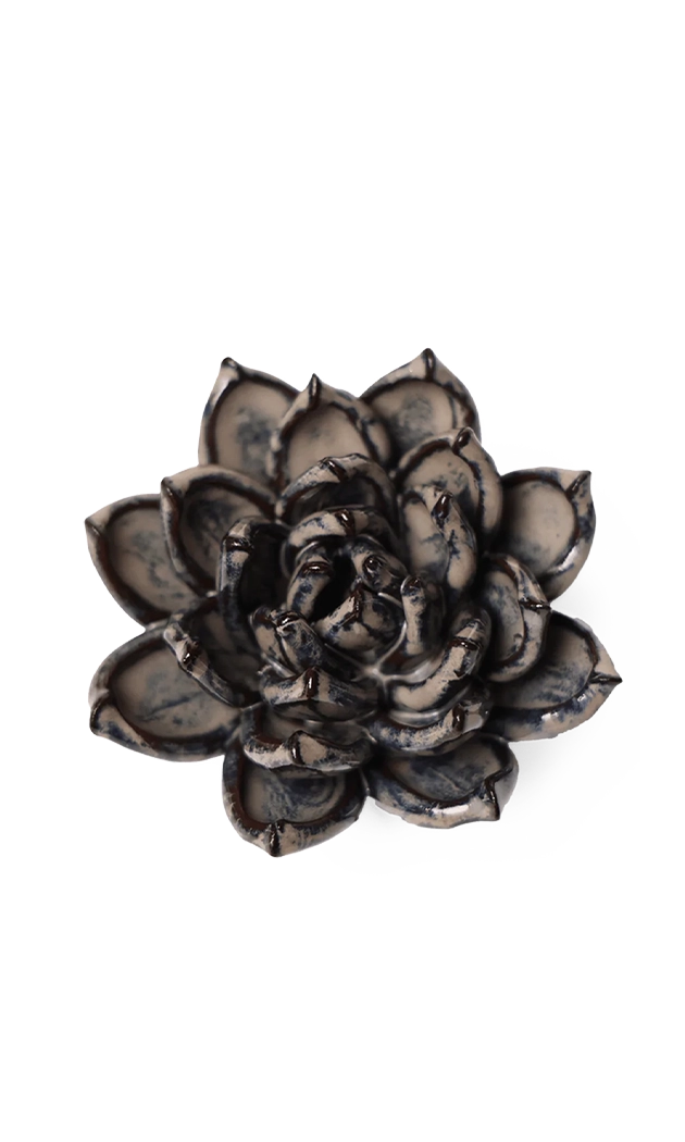 Latte - Lola Echeveria - handmade by Chive Studio Toronto