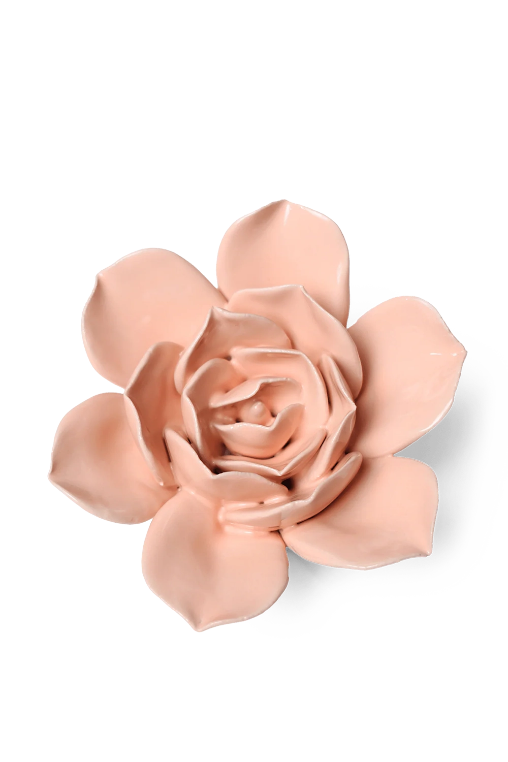 Apricot Pink Narcissus- Classic Collection - handmade by Chive Studio Toronto