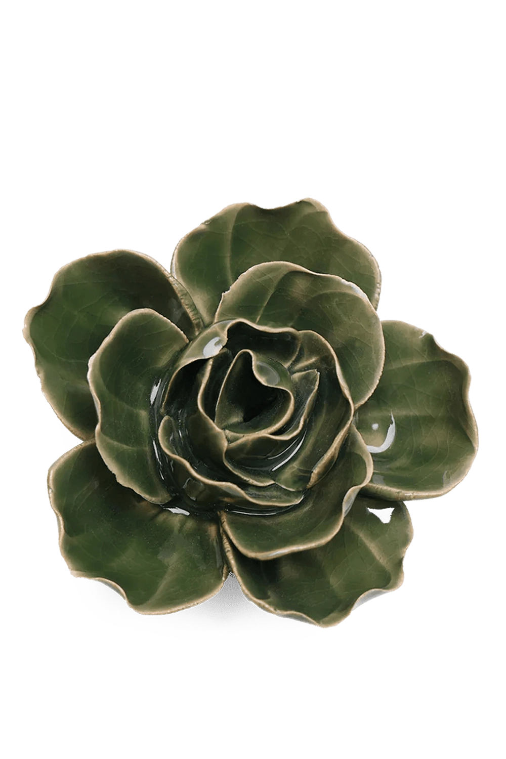 Fir Green Butterfly Ranunculus - English Garden Collection - handmade by Chive Studio Toronto
