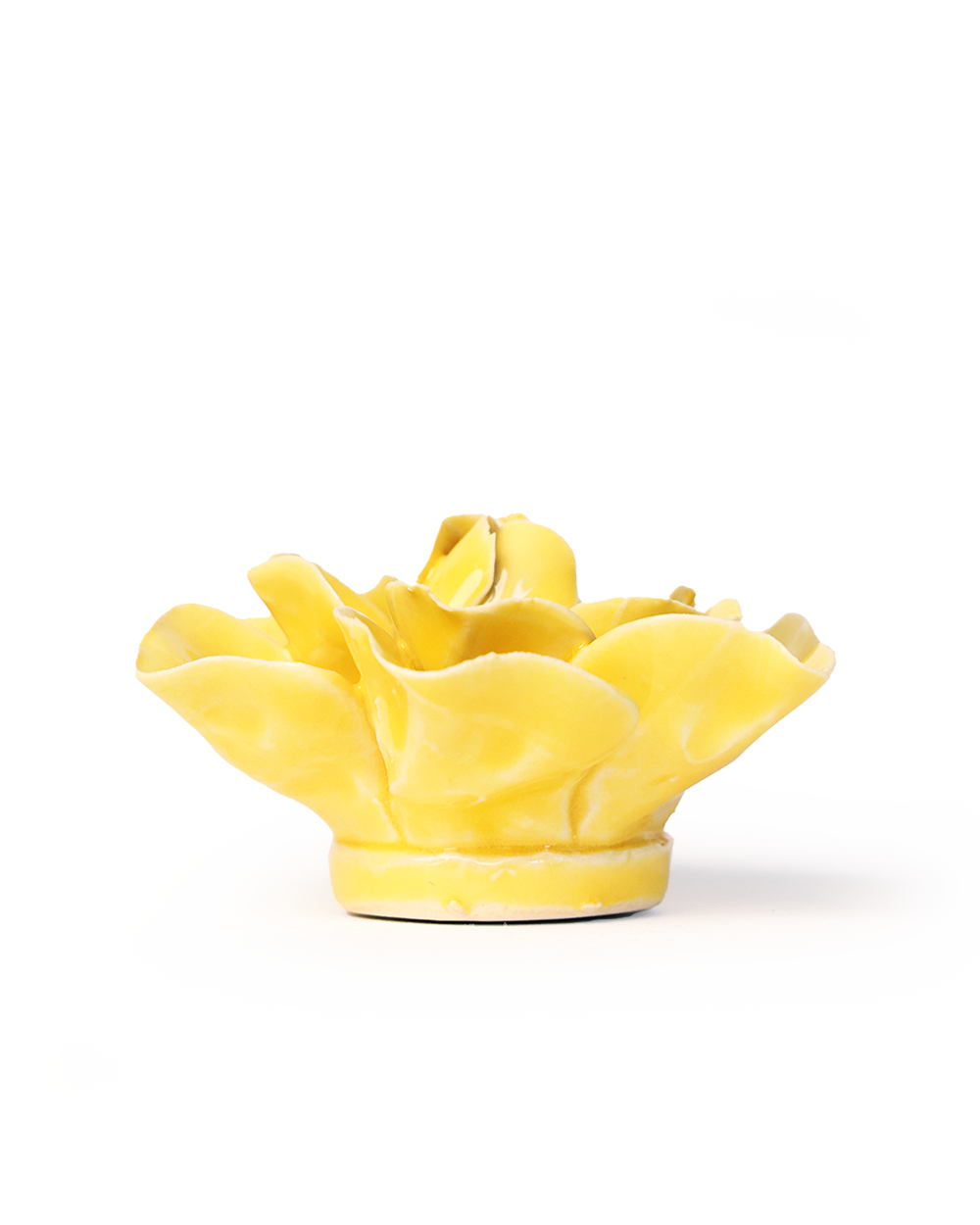 Buttercup Yellow Daffodil ceramic wall flower detail view — Chive Ceramics Studio